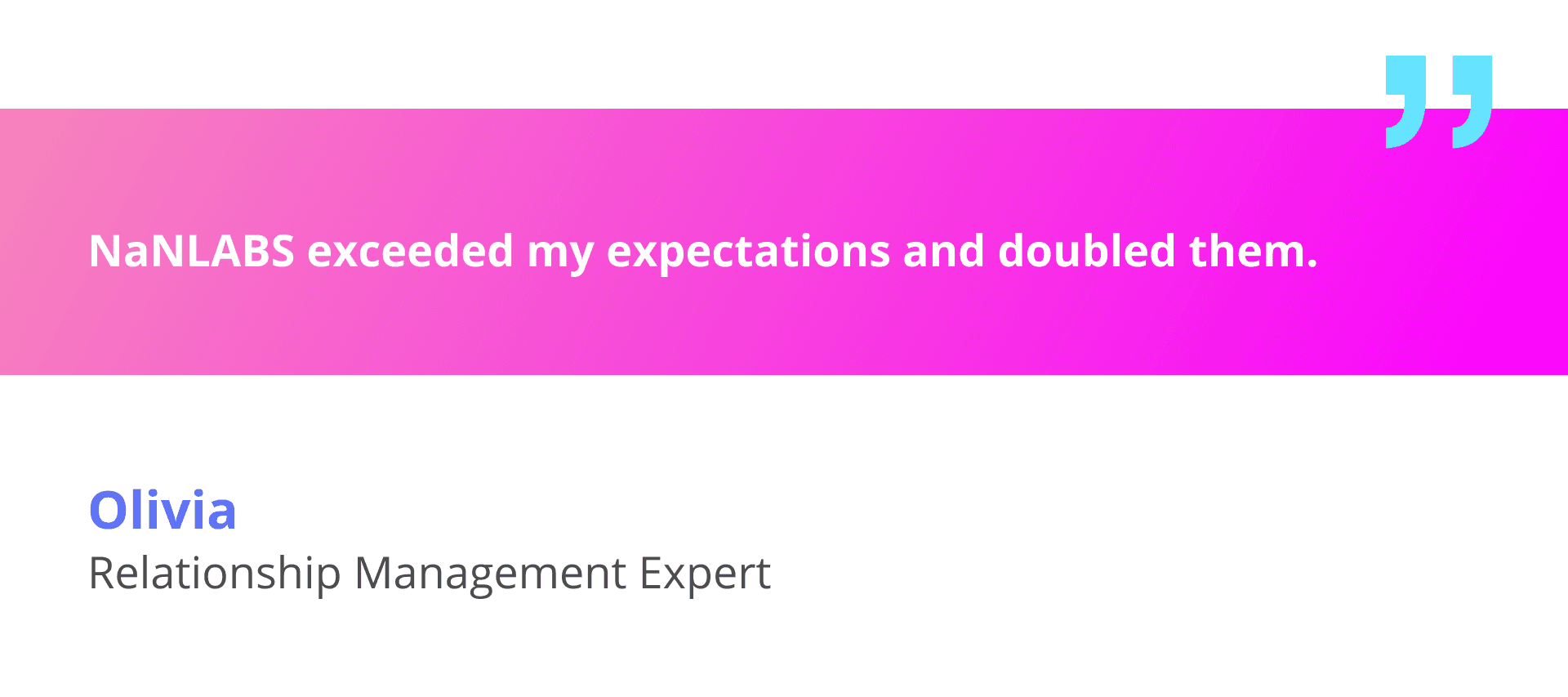 Quote by NaNLABS’s client on product development expectations